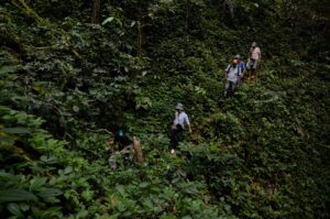 Read more about the article Captivating Mount Kinabalu: Climbing the Peak of Borneo